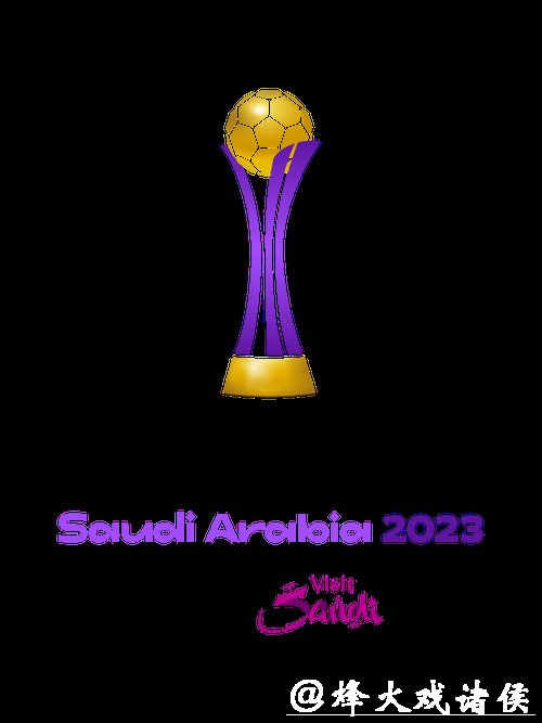 2023年世界杯投注平台推荐及应用指南